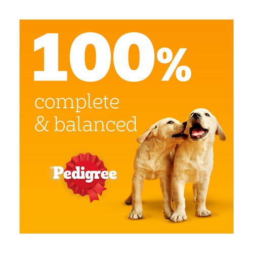 Pedigree Puppy Wet Dog Food Pouches Mixed in Jelly