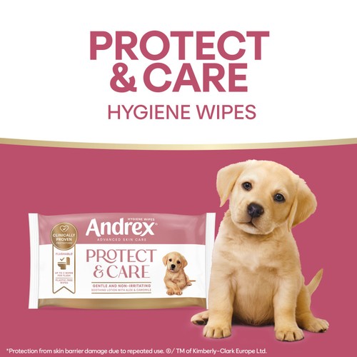Andrex Protect And Care Wipes 36 Pack