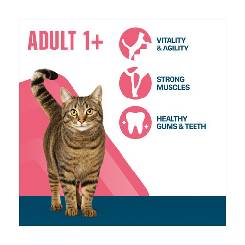 Perfect Fit Adult Dry Cat Food Chicken 750g
