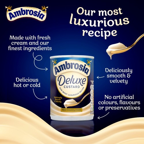 Ambrosia Deluxe Custard Dessert Can 400g