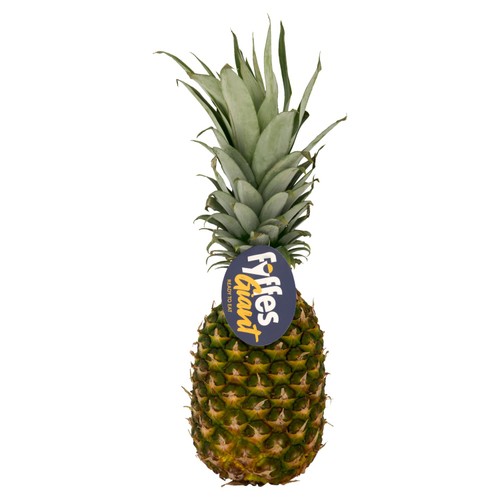 Fyffes Giant Pineapple