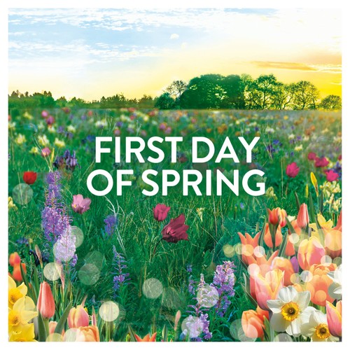 Lenor In Wash Scent Booster First Day Of Spring 137g