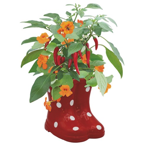 Bee Friends Companion Welly Boot Chilli