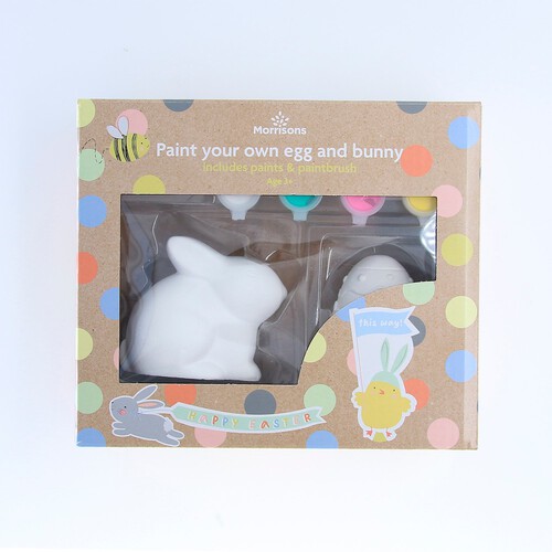 Morrisons Paint Your Own Egg And Bunny Set