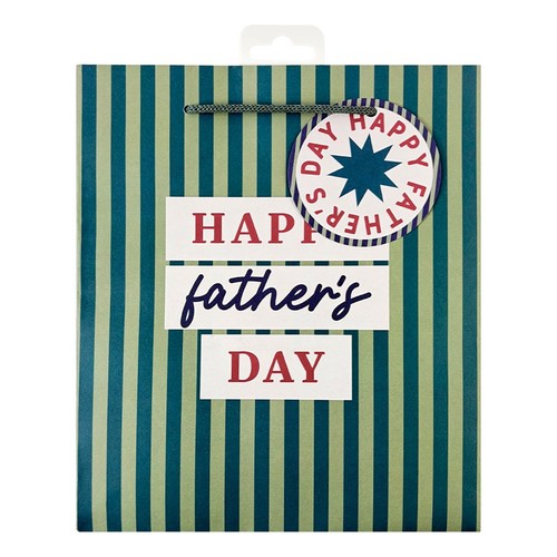 Morrisons Father's Day Medium Gift Bag