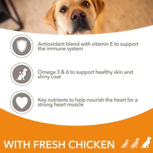 Iams For Vitality Dog Adult 1+ Years Large With Fresh Chicken