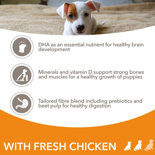 Iams For Vitality Puppy 1 - 12 Months With Fresh Chicken