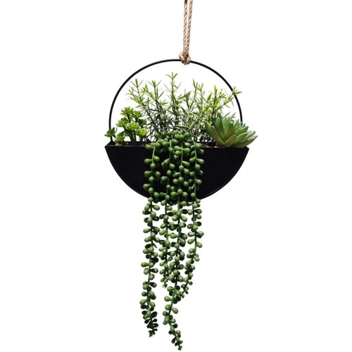 Home Style Black Round Trailing Plant