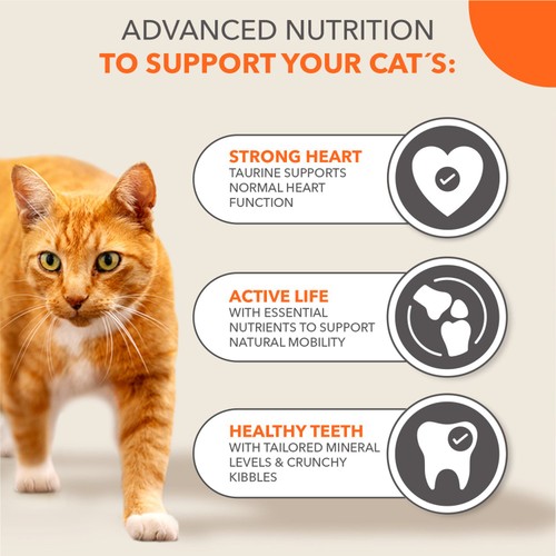 Iams For Vitality Adult Cat 7 Years With Tuna 
