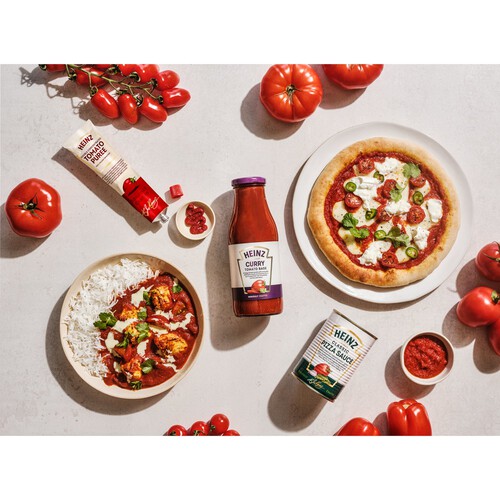 Heinz Double Concentrated Tomato Puree