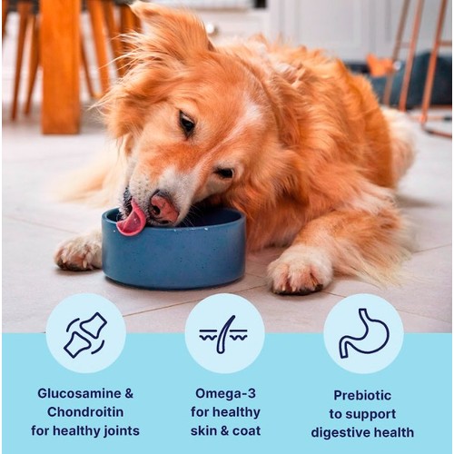 Tails.Com Inner Vitality Medium & Large Adult Chicken Dry Dog Food   2kg