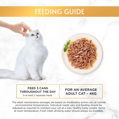 GOURMET Gold Succulent Delights Salmon Wet Cat Food 85g