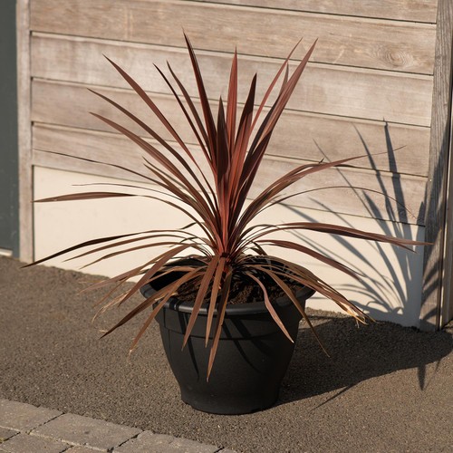 Strata Bell Pot Terracotta 30cm