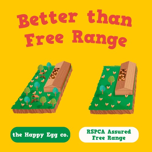 Happy Egg Company 10 Large Free Range Eggs