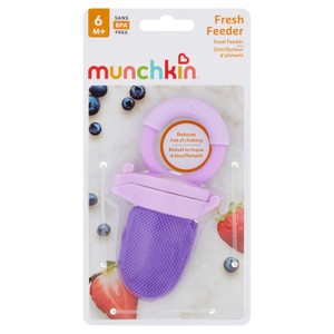 the Nibbler Fresh Food Feeder 6m+