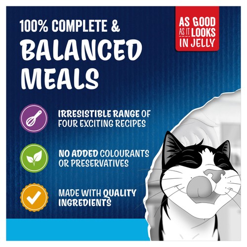 Felix As Good As It Looks Kitten Fish In Jelly Wet Cat Food 12x85g