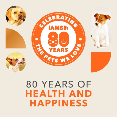 Iams Sensitive Digestion with Turkey 1+ Years 2kg