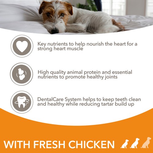Iams For Vitality Senior Small & Medium Dog Food With Fresh Chicken