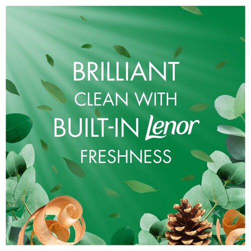 Bold All-In-One Liquid Pods Eucalyptus & Sandalwood 