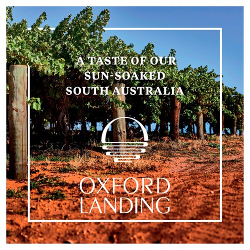 Oxford Landing Sauvignon Blanc