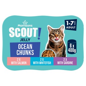 Morrisons Cat Food Fish Chunks In Jelly