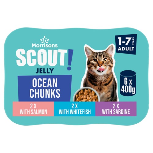 Morrisons Scout Ocean Chunks In Jelly Adult Cat Food 6 x 400g