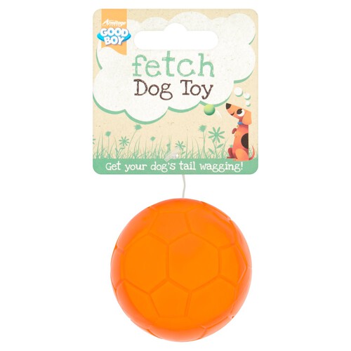 Good Boy Fetch Dog Toy