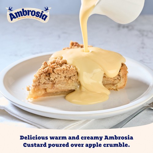 Ambrosia Devon Custard Dessert Carton 500g