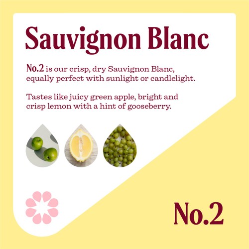 Nice Sauvignon Blanc Wine 