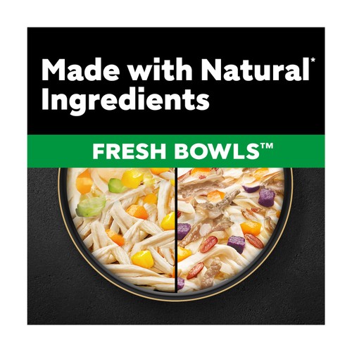 Cesar Fresh Bowls Wet Dog Food Mixed Selection In Gravy 6 x 85g