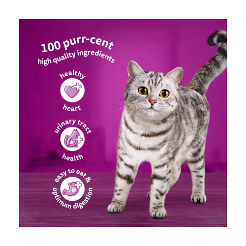 Whiskas Senior 11+ Poultry Feasts Pouches in Jelly