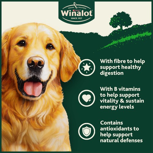 Winalot Shapes Dog Biscuits 
