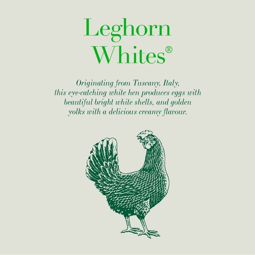 Clarence Court Leghorn Whites Large Free Range Eggs 6 Pack