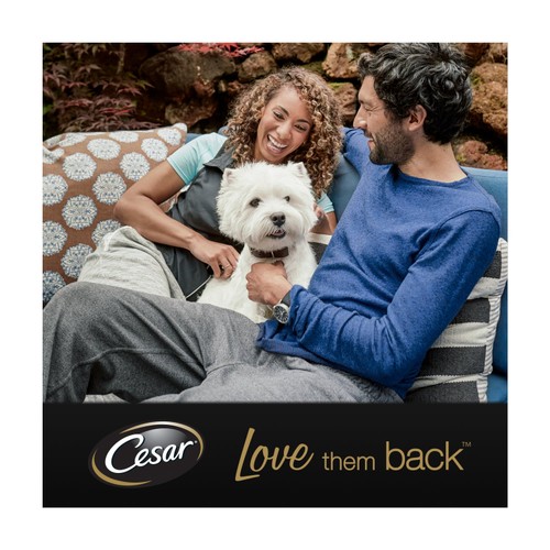 Cesar Classic Terrine Wet Dog Food Tray Chicken & Turkey in Loaf 150g