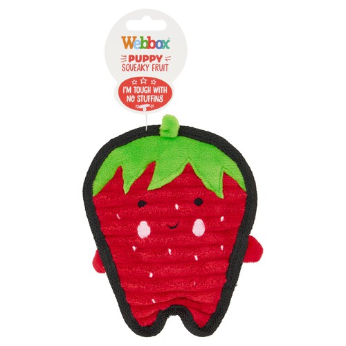 Webbox Puppy Squeaky Fruit Dog Toy