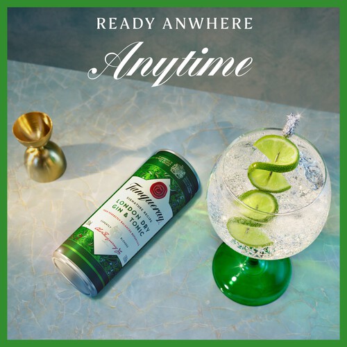 Tanqueray London Dry Gin and Tonic 6.5% vol Premix Can