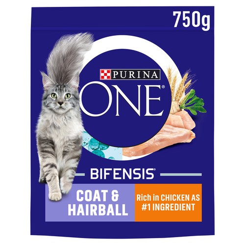 Purina ONE Adult Dry Cat Food Coat & Hairball, Rich in Chicken 750g