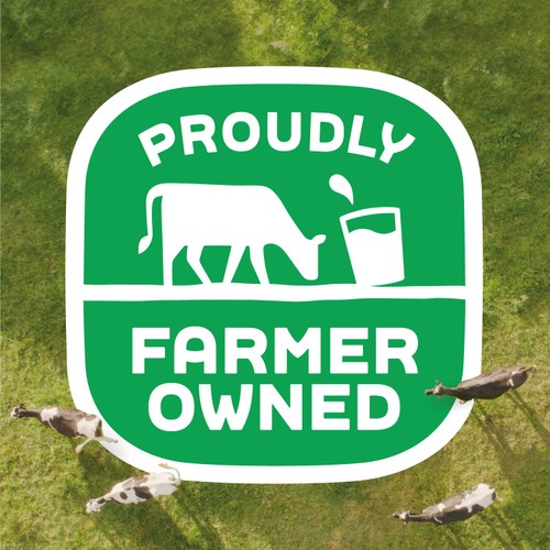Arla Big Milk Whole Milk 250ml