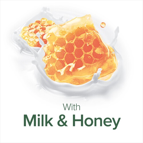 Palmolive Naturals Milk & Honey Handwash 