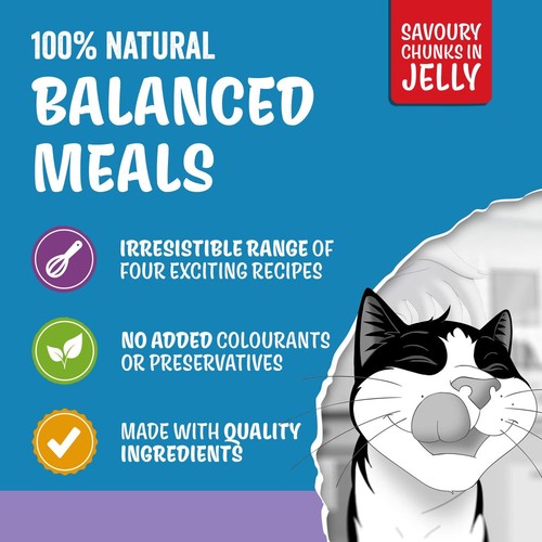 FELIX Original Kitten Mixed Selection in Jelly Wet Cat Food 40x85g