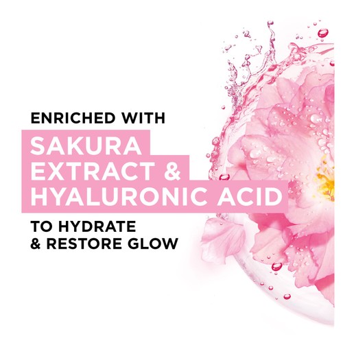 Garnier Moisture Bomb Hydrating Tissue Mask