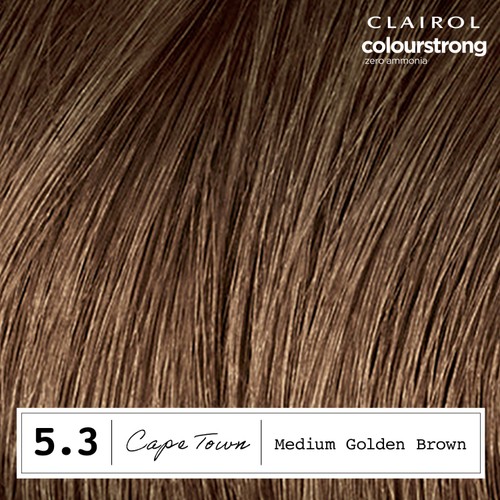 Clairol Colour Strong Permanent Hair Dye 5.3 Medium Golden Brown
