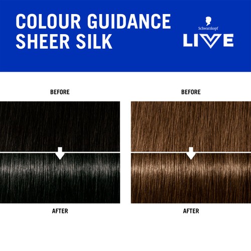LIVE Go Gloss Temporary Hair Dye Glossing Sheer Silk