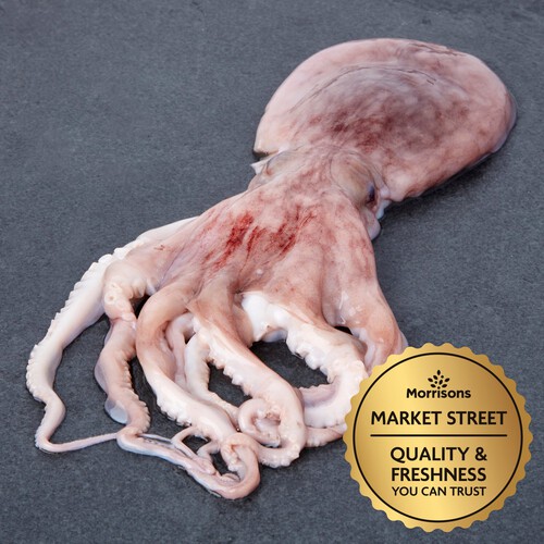 Market Street Octopus