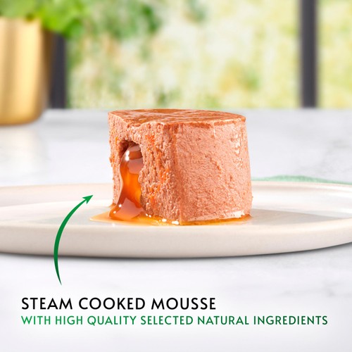 Gourmet Nature's Creations Gravy Heart Chicken Ocean Fish Wet Cat Food
