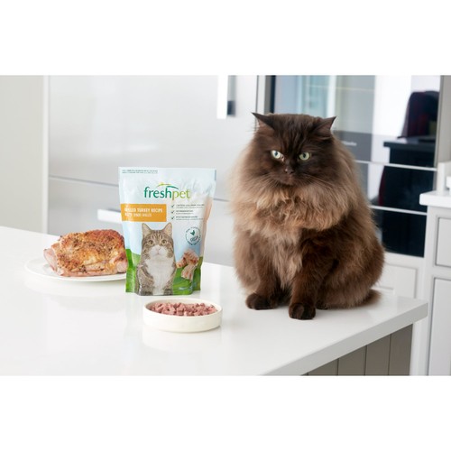 Freshpet Grilled Turkey Fresh Cat Food 400g