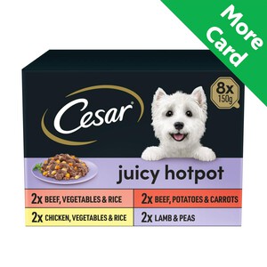 Cesar Senior Wet Dog Food Trays Meat in Delicate Jelly Morrisons Online Groceries Offers