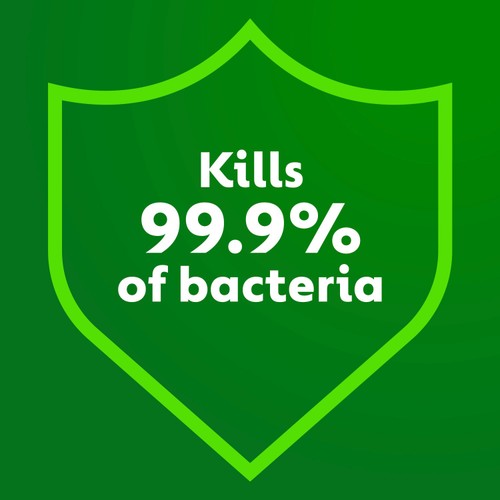 Dettol Disinfectant Liquid Eucalyptus & Mint