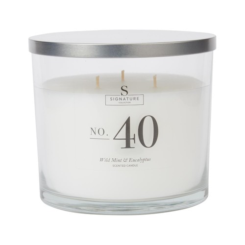 Home Style Signature 3 Wick Luxury Candle Wild Mint & Eucalyptus