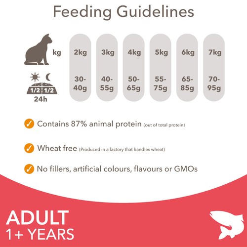 Iams For Vitality Cat Adult 1+ Years With Salmon 